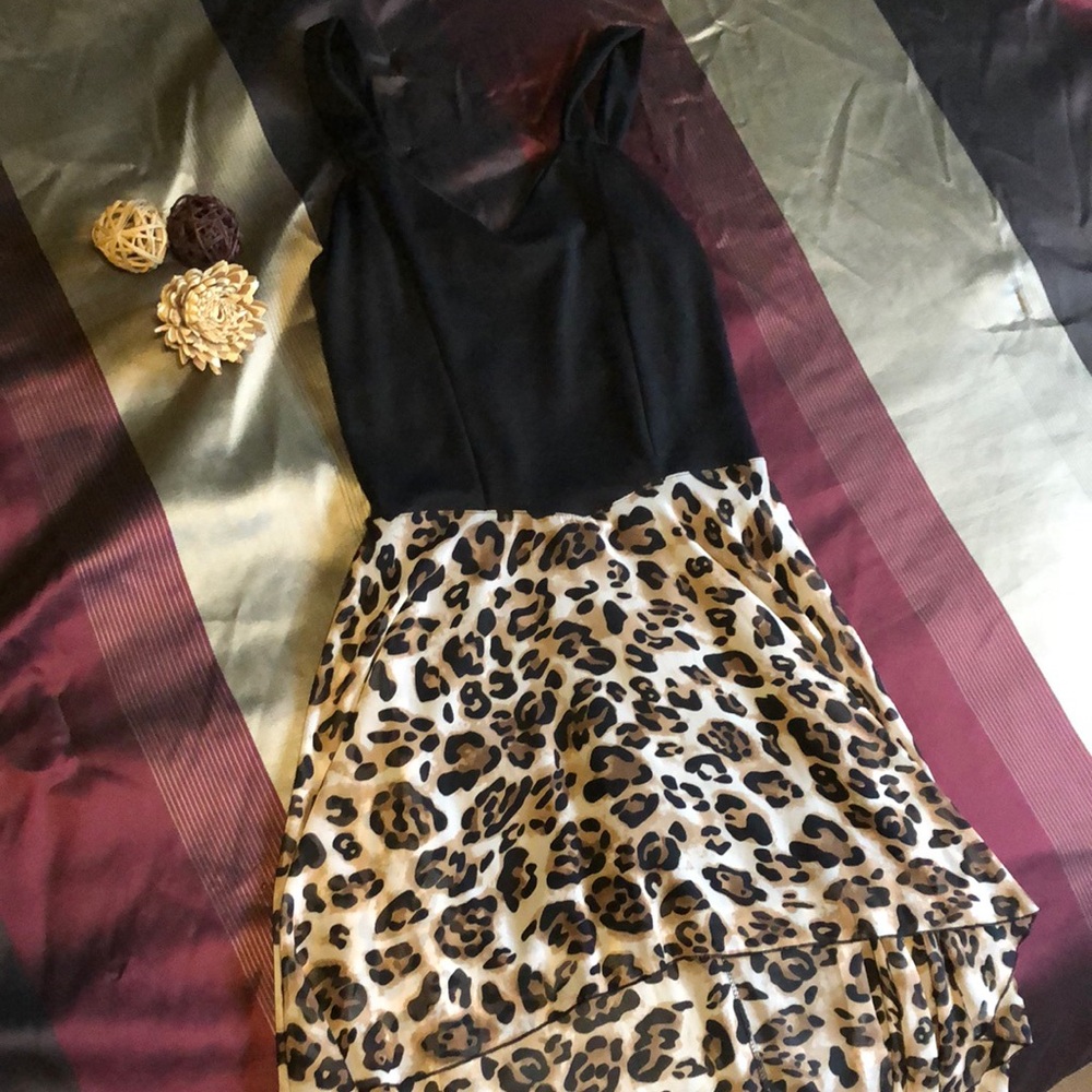 Léopard Print Dress - Picture 2 of 6